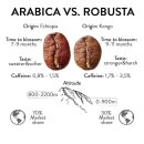 아라비카 vs 로부스타 커피 원두 간단 비교 이미지