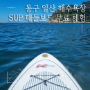 일산 해수욕장 울산 SUP 패들 보드 무료 체험 후기