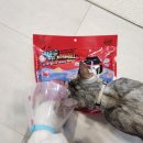 야미츄 | 대용량 고양이츄르 야미츄 참치버라이어티