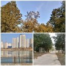 안경나라송천점 이미지