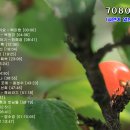 느낌7080 이미지