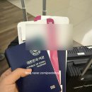 콴스/얄로얄로/파빌리온몰 파이즈가이즈/응커피/야오야오/163몰 청학골/홍콩반점/돈까스랩/몽키아라더반/