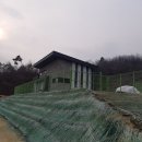 보강개발