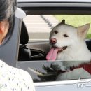 세종축산동물약품 이미지