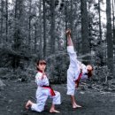 길잡이태권도장 이미지