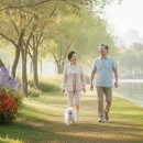 영어(초급A) 이미지