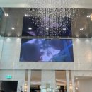 울산밝은 | [웨딩홀후기] 울산 북구 단독홀, 울산 밝은 웨딩홀, 울산 JW컨벤션센터 #루미에르홀 하객 후기 🫶🏻