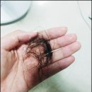 비아미래약국 | 위고비 효능 가격 부작용 다이어트 후기