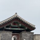 외로울 틈 없는 북적북적 일상 / 4월의 행궁동