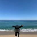 민철목장 네이버블로그