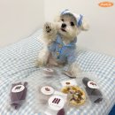 둔포애견 이미지