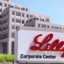 릴리약국 이미지