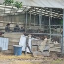 김기수농장 이미지