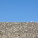 브라운도트호텔 안동옥동점 이미지