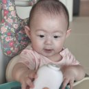 오케이전집 이미지