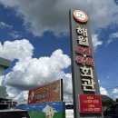 함평 맛집 해월축산 인생 최애 한우 육회비빔밥 강추