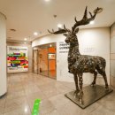 거제시문화예술회관 이미지