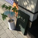 도봉-창동-도봉-5364 이미지