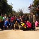 오동골1 이미지