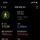 사과맛집