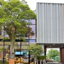 (주)KD렌트카 이미지