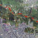 돌산동물병원 이미지