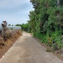 신산리-6 이미지