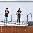 한울림 노컷뉴스