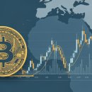 링크드플러스(주) 이미지