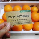 제주몽글랑