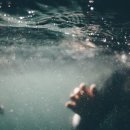 김제초등학교 이미지