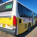 ㈜청도버스 이미지