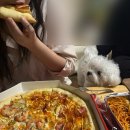 금샘탕 이미지
