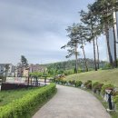 역북-16 | 용인 역북문화공원 강아지 산책코스 후기｜도심 속 힐링 산책지