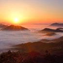 지선생 쌈촌 이미지