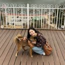 만세농장 이미지