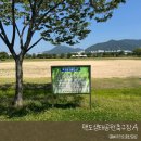 안강생활체육공원 축구장 | 15분도시 부산/ 맥도생태공원축구장A