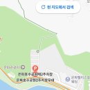 은파롯데캐슬 | 2026 군산 벚꽃야시장 정보 : 군산 벚꽃명소 은파 주차 및 먹거리 현지인 팁