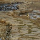 황룡강변 이미지