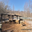 늘솔길근린공원 이미지