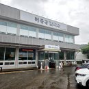 버들골칼국수 | 경기도 양주시 6,000원 버들골 칼국수 경기북부 가성비 현지인 맛집 (두번째)