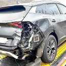 막심이네-수입 이미지