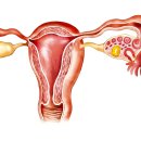 호매실한의원 이미지