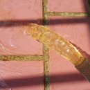 한우리(연수부강) 이미지