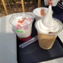 백설애견 이미지