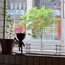 보문동 치킨 | 역 점심 혼밥] 겉바속촉 끝판왕 점심 한정 메뉴! 성북천 데이트 코스로 완벽한 보문동 숨겨진 맛집 '보문7'