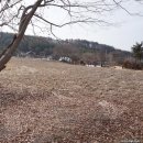 수하리 눌언동 여울산장 앞 | 홍천군 서석면 수하리 - 계획관리지역/가축사육제한구역/589평/1억 원
