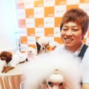 디비에스 주식회사 이미지