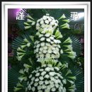 경*종