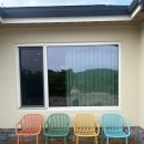 풀돌나무 이미지